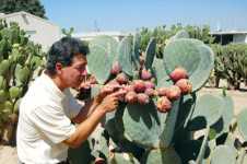 True Drought Tolerance