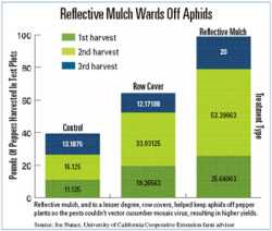 Repelling Aphids