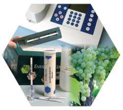 Beating Botrytis