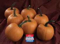 New Pumpkin Variety Released By Sakata