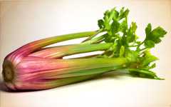 Red Celery Revealed