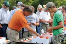 Stone Fruit: Ahead Of The Curve