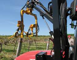 Vine Lines: Robots In The Vineyard