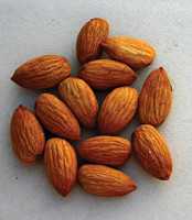 Impact Of Dry Stressing Almonds During Water Shortages