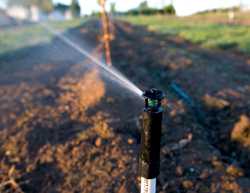 Online Exclusive: Irrigation Products