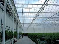 Experiencing HortiFair