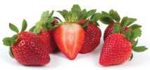Safeguarding Strawberries