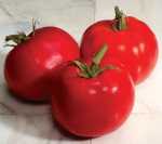 Variety File: Sakata Seed America
