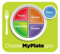 USDA Replaces Food Pyramid With New Icon