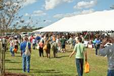 2011 Florida Ag Expo Finds Room For Growth