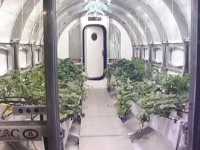 Lunar Farm Market