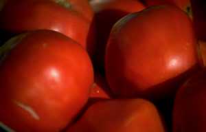 Tomatoes_generic
