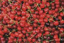 Tart Cherries