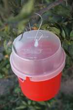 Biobest Droso-trap