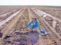 Soil Byproducts