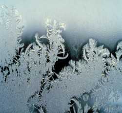 Frosted Window