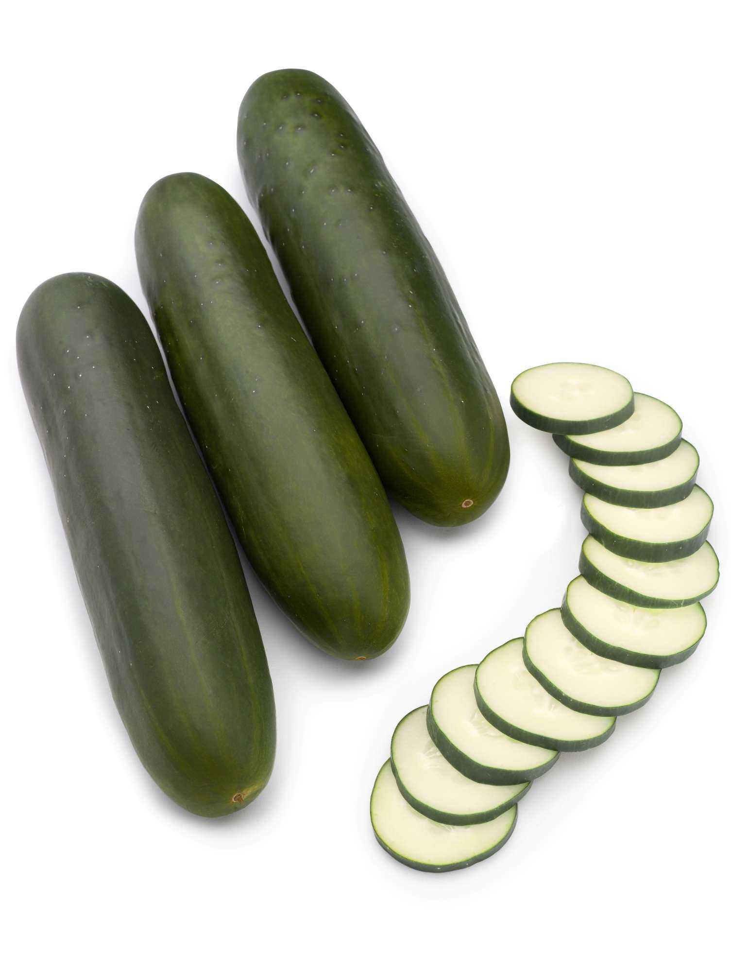 Downy Mildew Resistant Cucumber Varieties - Growing Produce