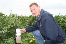 Sea Mist IPM