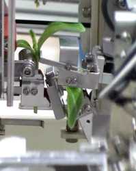 Automated Robot