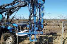 Mechanical Winegrape Pruning