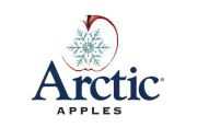 Arctic Apple logo