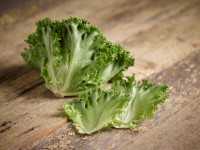 Greenglace lettuce from Nunhems