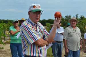Bill Castle, professor emeritus, UF/IFAS, holds up a "Florida-grown" pomegranate during the 2012 Mid Florida Citrus Foundation's Pomegranate Field Day