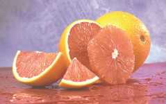 Cara Cara navel orange