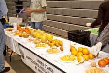 USDA citrus varieties