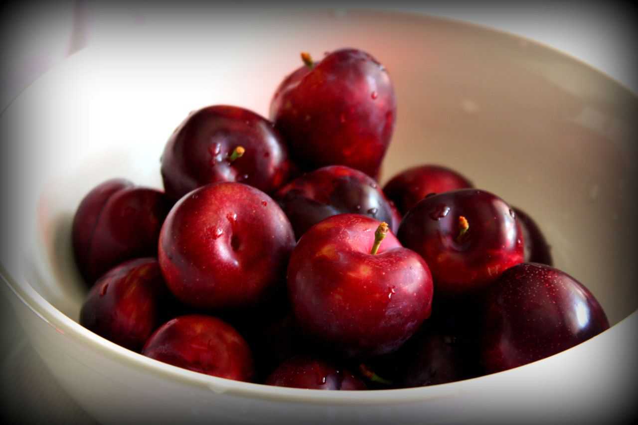 Черри Плам (вишнеслива). Cherry Plum Anaseuli. Алыча фото на белом фоне. Алыча в больших чашках фото.