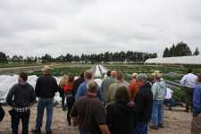 2nd Vegetable and Small Fruit Protected Ag field day