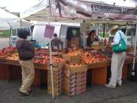 Blossom Bluff Orchards Farmers Market