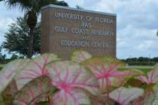 Gulf Coast Research and Education Center