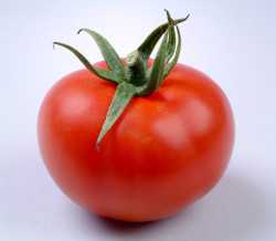 Maggie tomato