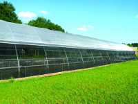 netting high tunnels