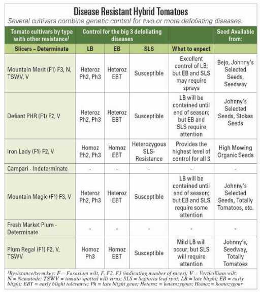 Choose Tomato Varieties With The Best DiseaseResistance Packages