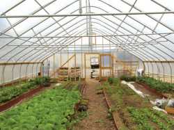 High Tunnel Management Pointers For Vegetable Growers - Growing Produce