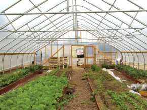 High Tunnel Management Pointers For Vegetable Growers - Growing Produce