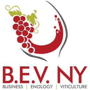 BEV NY logo