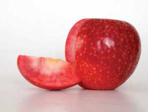 TC2 is a red-fleshed apple developed by Bill Howell in Prosser, WA.