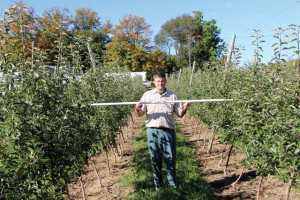 Paul Wafler highlights his tall spindle tip training system, where the trees are tipped out in narrow rows and tipped in in wide rows. (Photo credit: Brian Sparks)