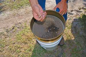 Sifting soil for a sample