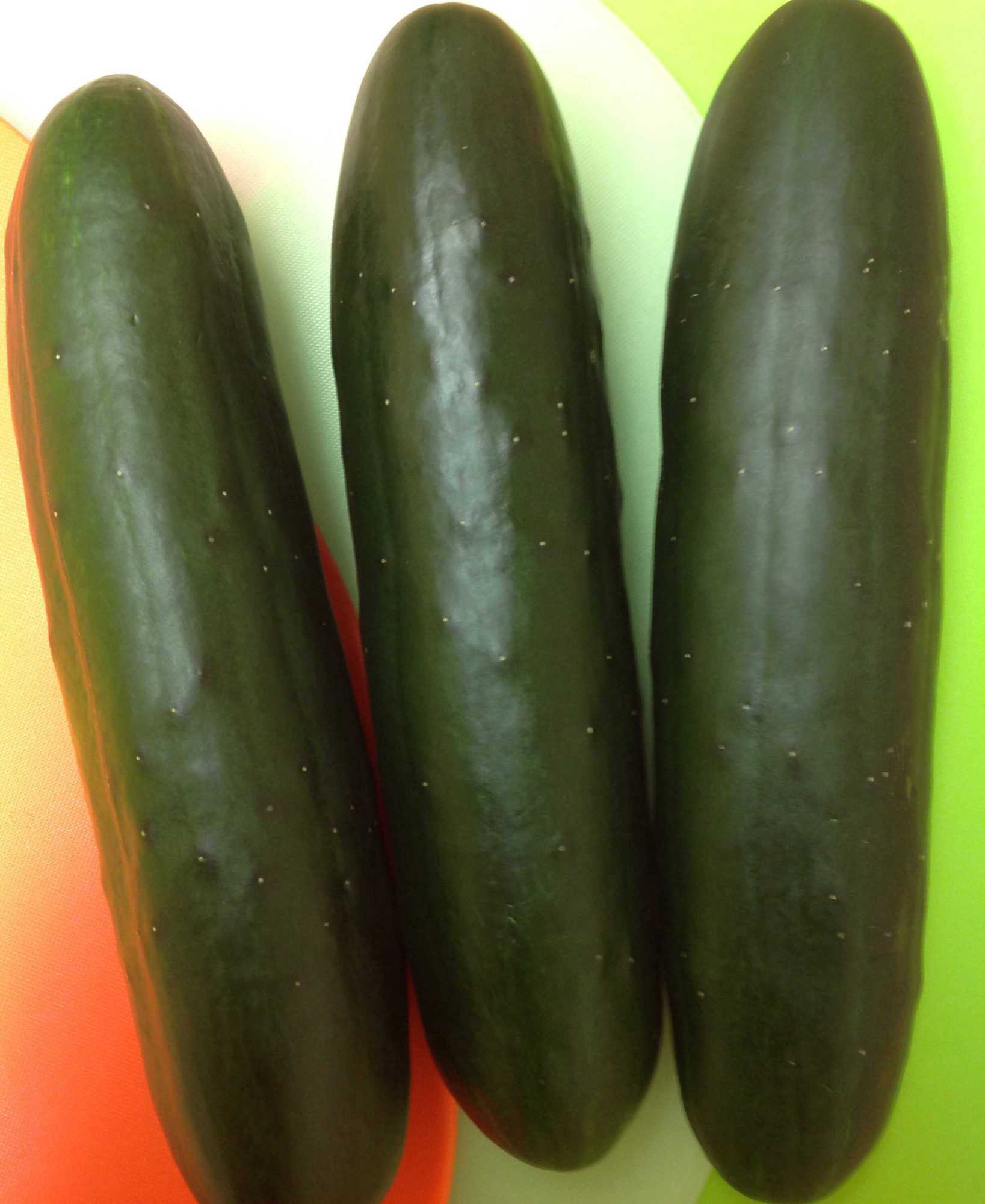 Clifton Seed Co. Presents Its Latest Varieties