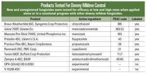  A variety of products were tested in Michigan for the control of downy mildew in cucumbers.