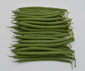 sybaris green bean