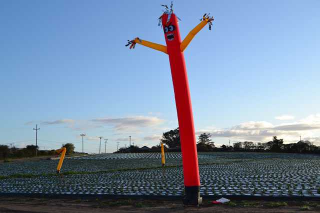 The AirRanger, a wind dancer equipped with Mylar reflective strips, is a relatively new addition to orchards. The unpredictability of the wind dancer's movements have proven to be successful bird deterrents. (Photo credit: Look Our Way)