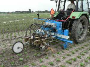Each hoeing tool on this weeder from F. Poulsen Engineering in Denmark is individually controlled by separate cameras. Photo credit: F. Poulsen Engineering ApS. 