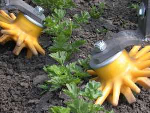 Finger-weeders can reduce weeds in the seedline and reduce or eliminate subsequent hand weeding.