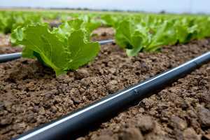 Rivulis Drip and Micro Irrigation Emission Devices