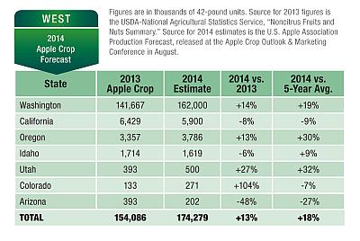 Apple Crop Outlook WEST